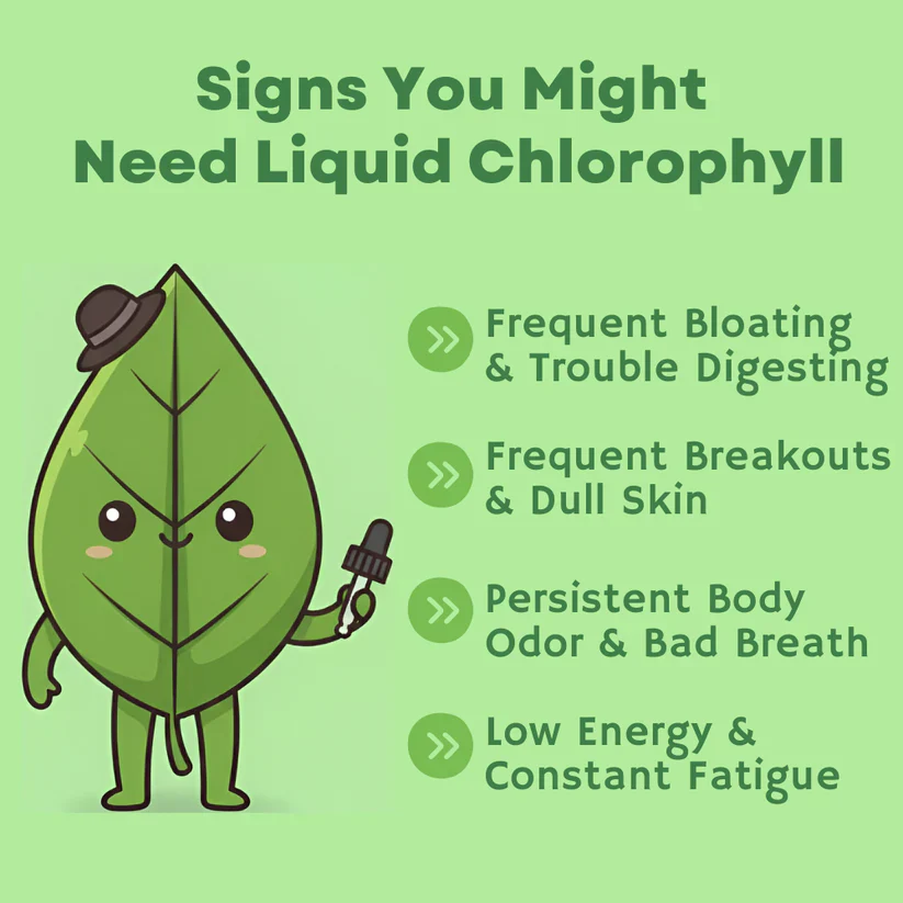 Liquid Chlorophyll, Body detox - Image 2